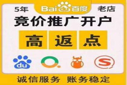 提升网站流量：SEO在百度推广的实战案例
